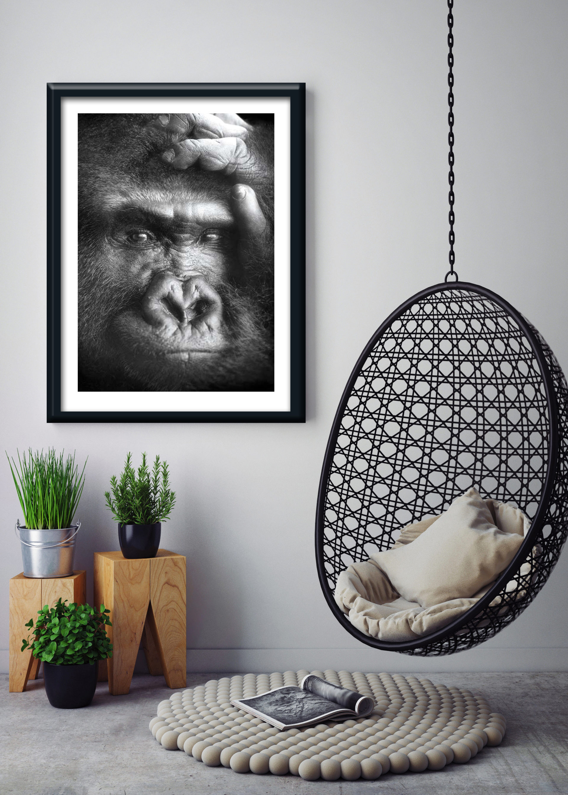 1 11178 Mr Poster Affisch Kwita Gorilla Djur Natur Kopia.jpg