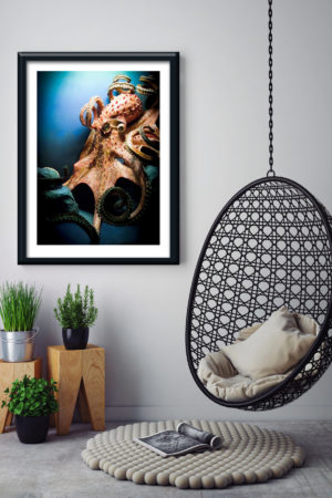 1 11400 Mr Poster Affisch Octopus Hav Blaìˆckfisk Djur Natur Kopia.jpg