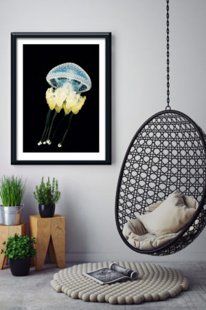 1 11403 Mr Poster Affisch Jellyfish Hav Manet Djur Natur Kopia.jpg