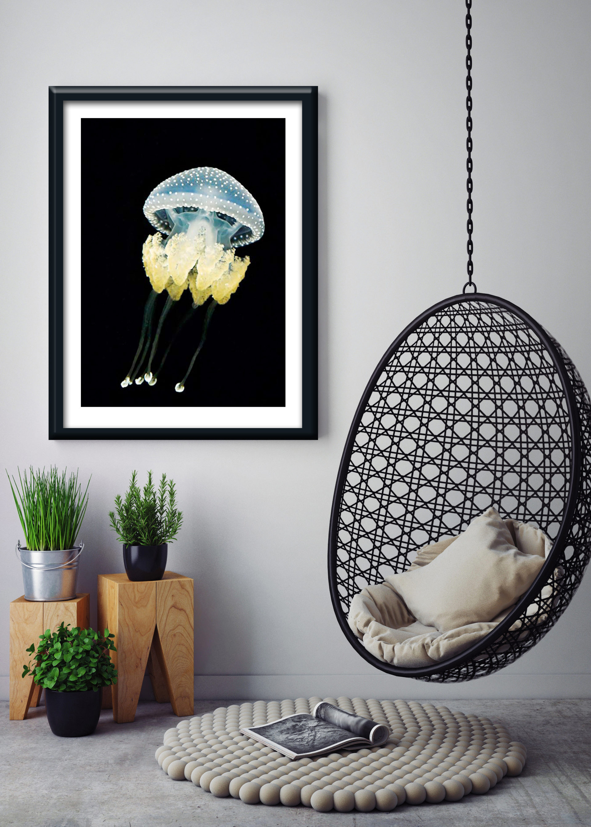 1 11403 Mr Poster Affisch Jellyfish Hav Manet Djur Natur Kopia.jpg