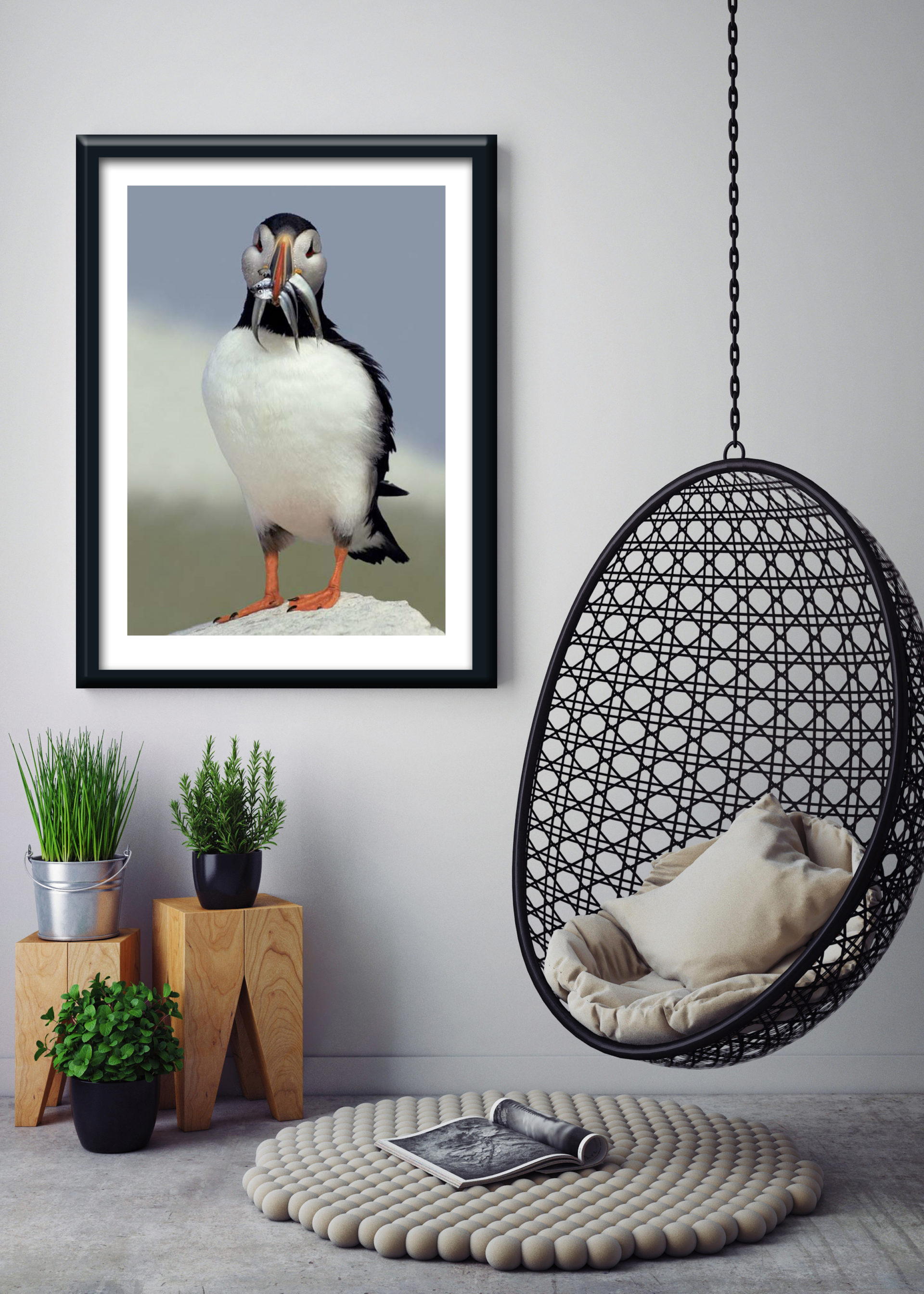 1 11776 Mr Poster Affisch Puffin Lunnefaìšgel Djur Natur Kopia.jpg