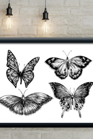 1 11979 Mr Poster Affisch Butterflies Kopia.jpg 1 11979 Mr Poster Affisch Butterflies Kopia.jpg