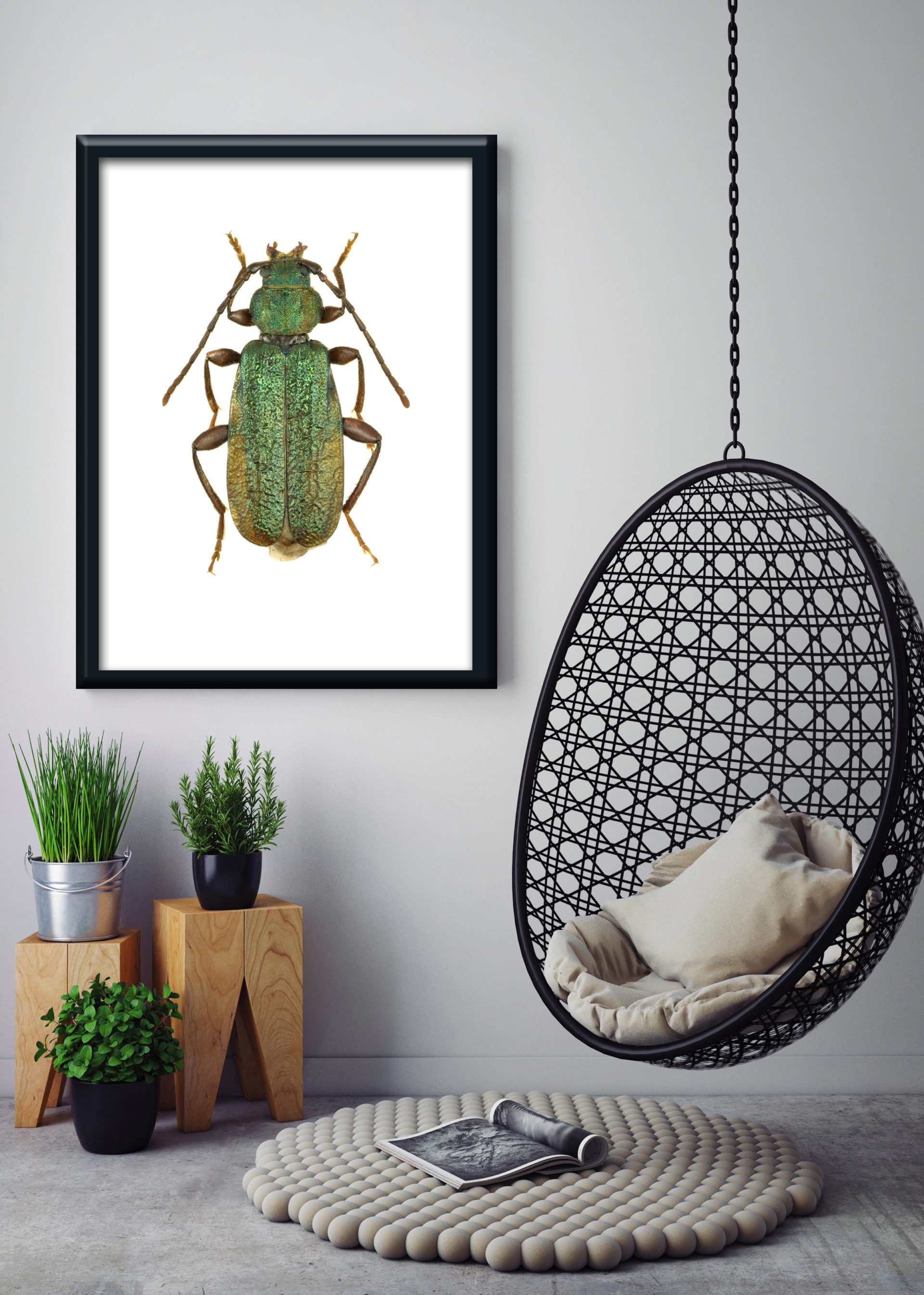 1 12114 Mr Poster Affisch June Bug Skalbagge Insekt Natur Kopia.jpg