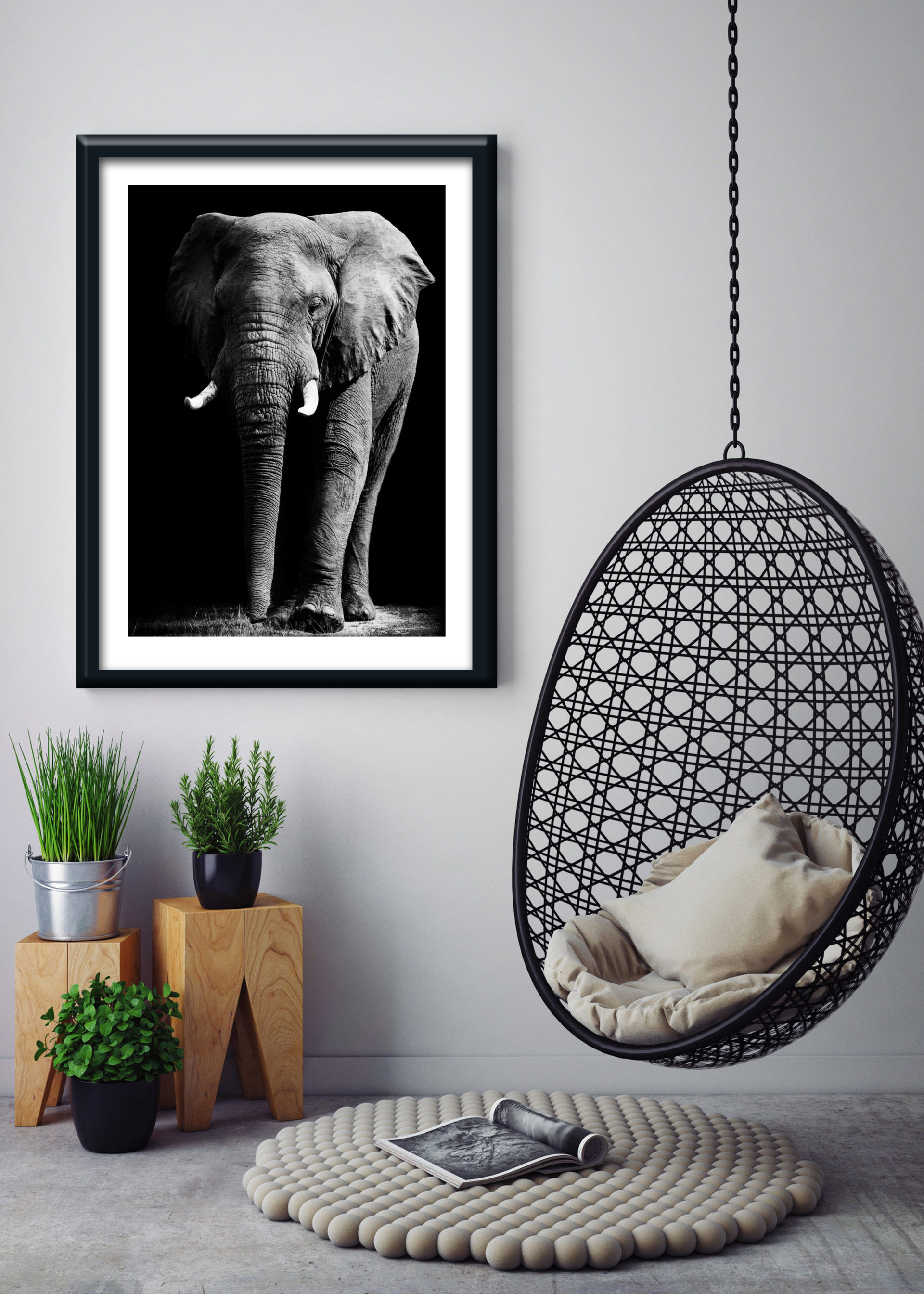1 12115 Mr Poster Affisch Niaz Elefant Djur Natur Svartvit Kopia.jpg