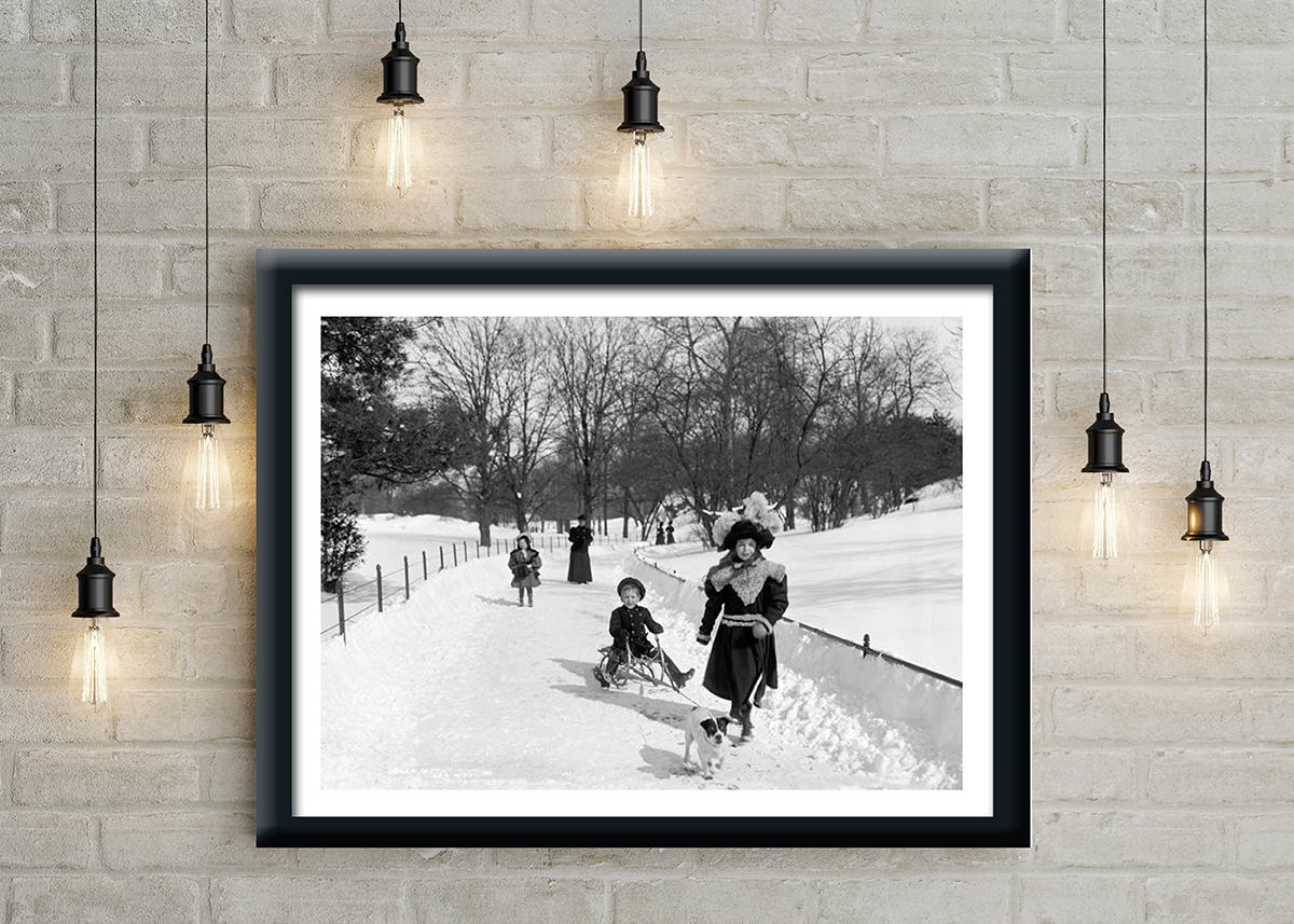 10606 Mr Poster Affisch Winter In Central Park Vintage New York1.jpg