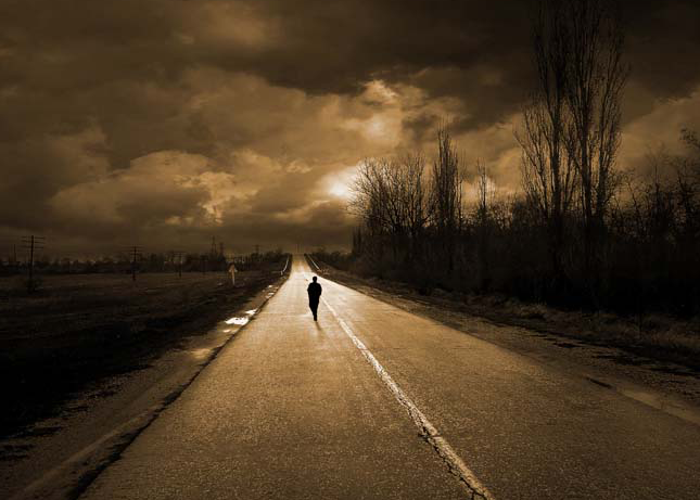11380 Mr Poster Affisch The Walk Gå Väg Natur.png