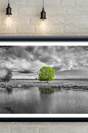 11566 Mr Poster Affisch Viridi Ligno Gro˘nt Tra˘d Svartvit Natur1.jpg